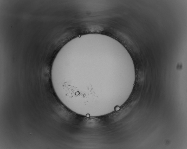 X0000101230321200807181609