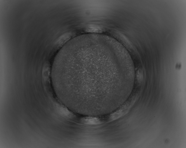 X0000101230322200807181609