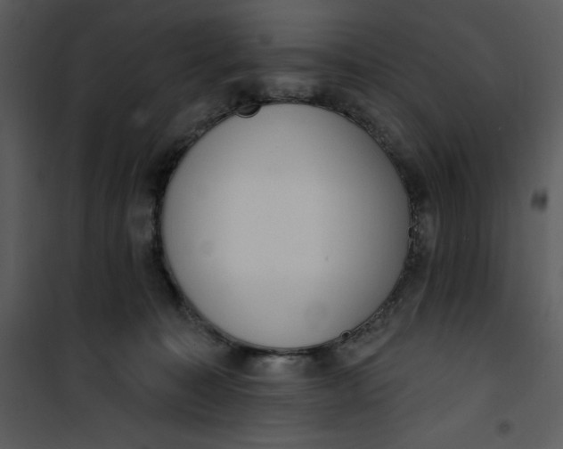 X0000101230323200807181609