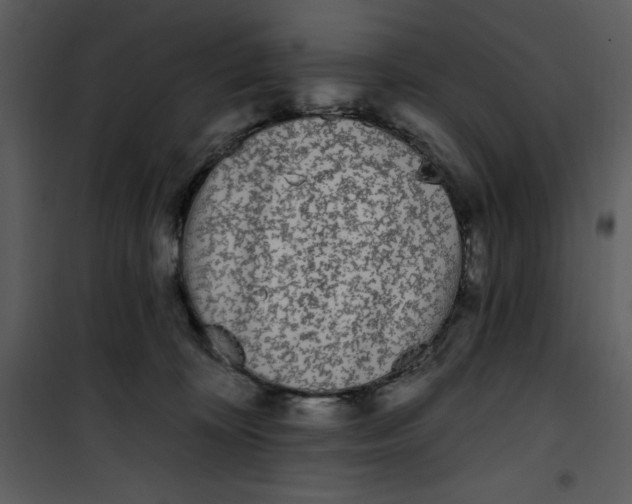 X0000101230324200807181609