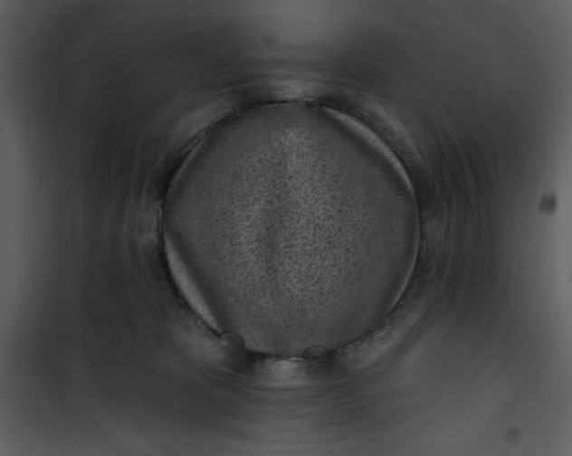 X0000101230325200807181609