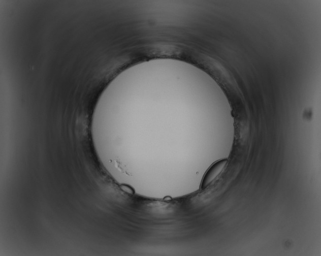 X0000101230326200807181609