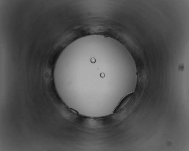 X0000101230327200807181609