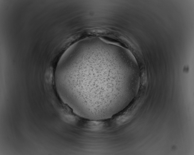 X0000101230328200807181609