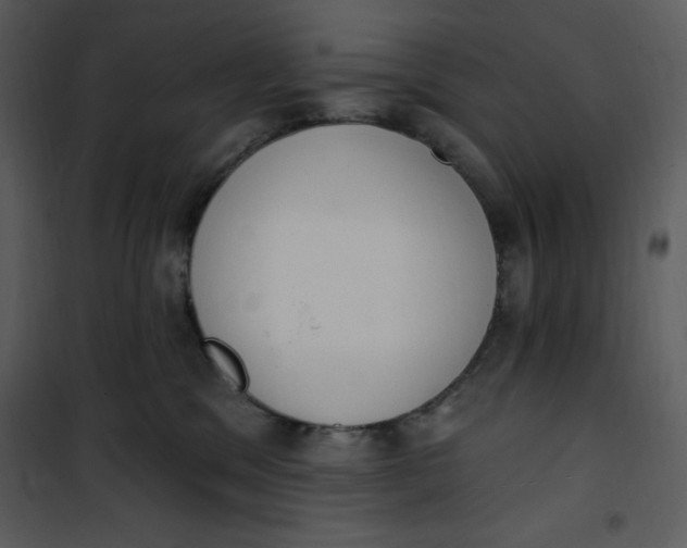 X0000101230329200807181609