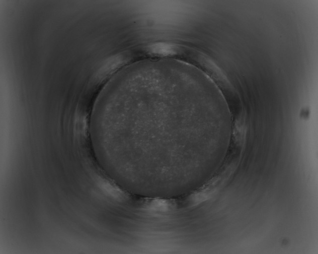 X0000101230330200807181609