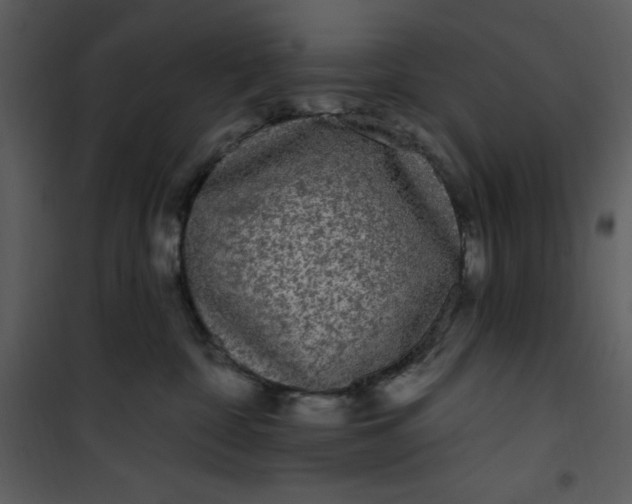 X0000101230332200807181608