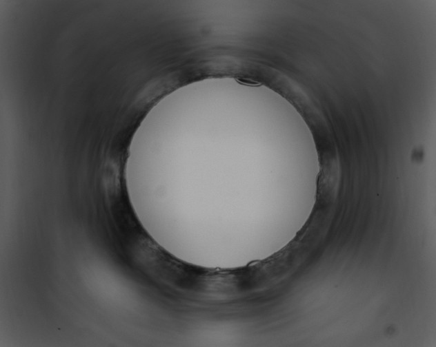 X0000101230333200807181608