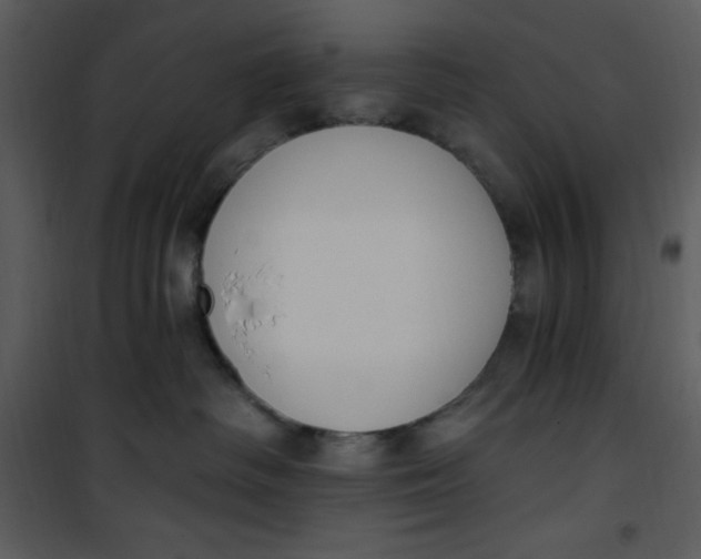 X0000101230334200807181608