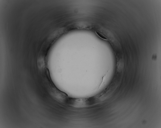 X0000101230335200807181608