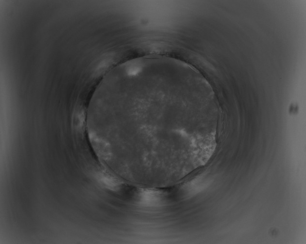 X0000101230336200807181608