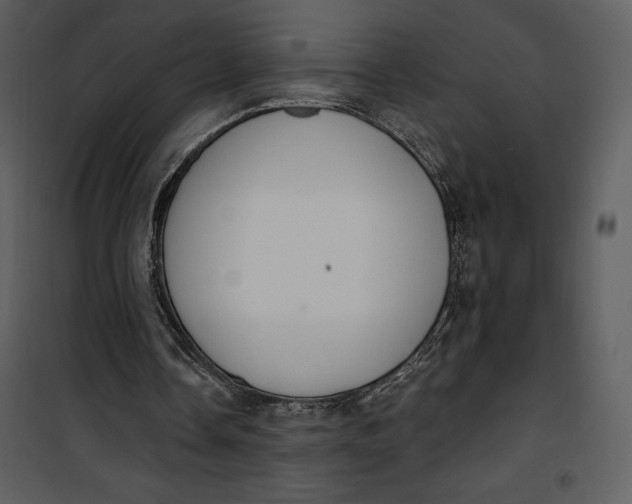 X0000101230338200807181608