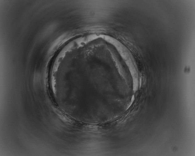 X0000101230339200807181608