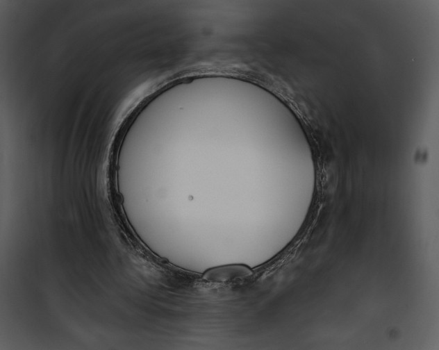 X0000101230340200807181608