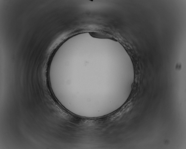 X0000101230341200807181608