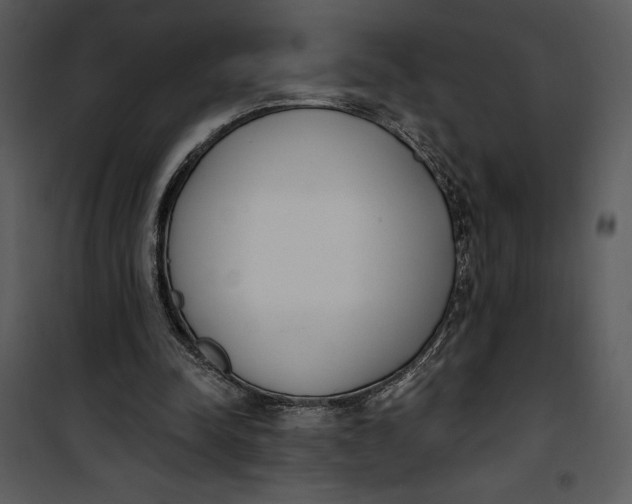 X0000101230342200807181608