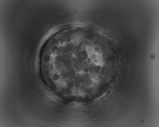 X0000101230343200807181608