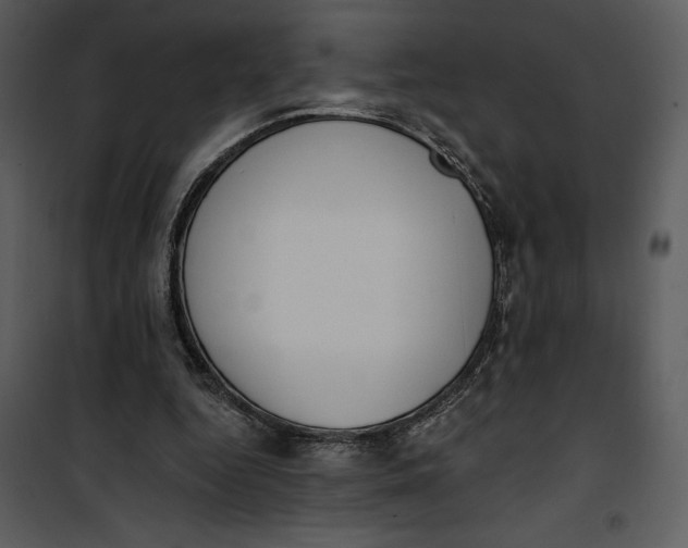 X0000101230344200807181608