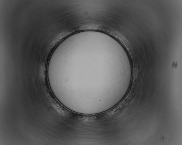 X0000101230345200807181608