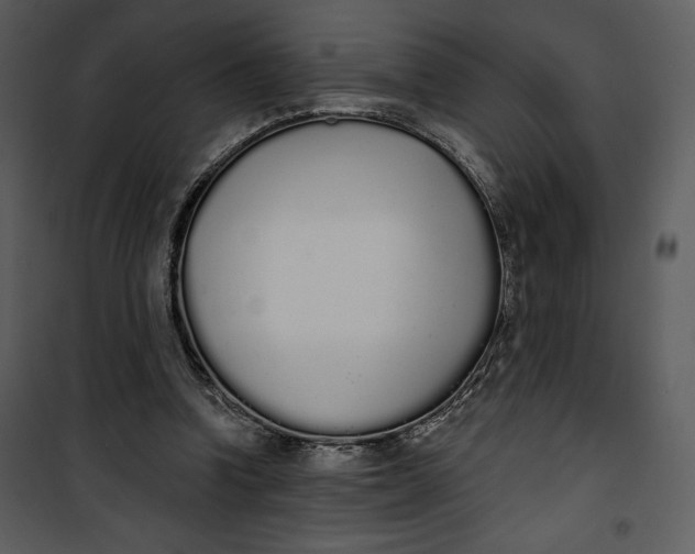 X0000101230346200807181608