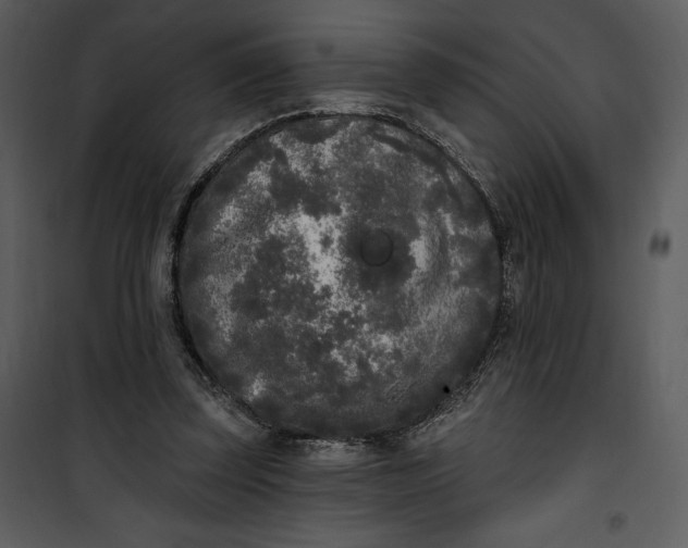 X0000101230347200807181608