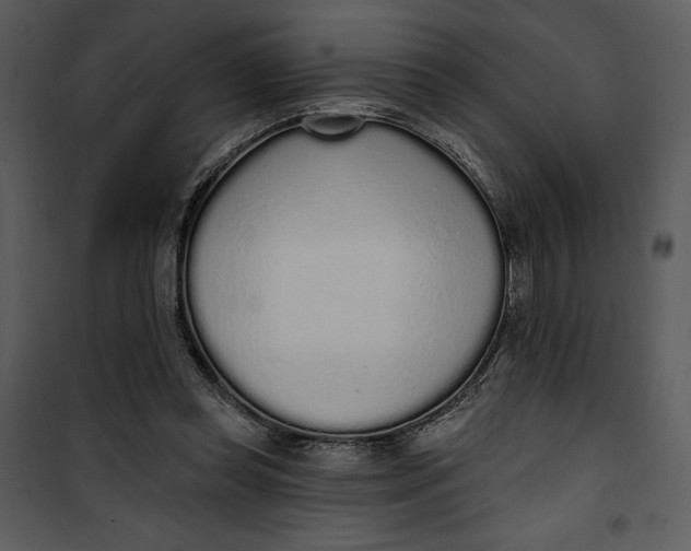 X0000101230349200807181608