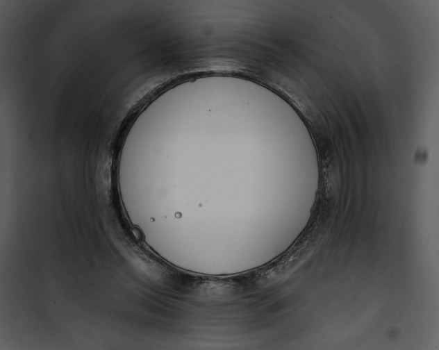 X0000101230350200807181608