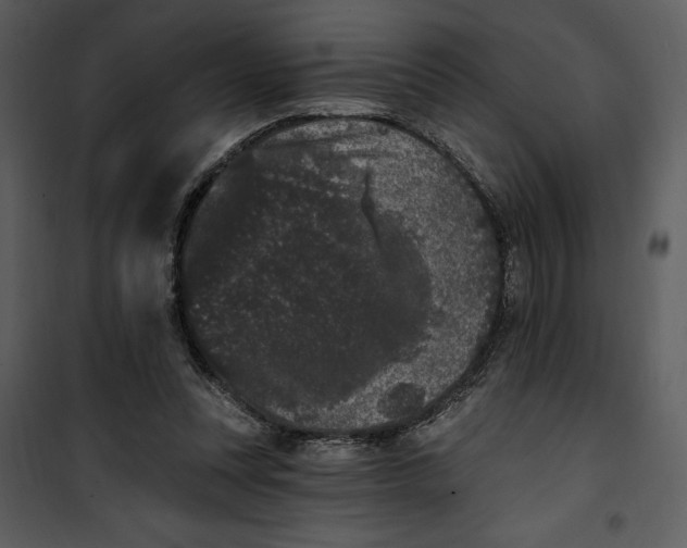 X0000101230351200807181608