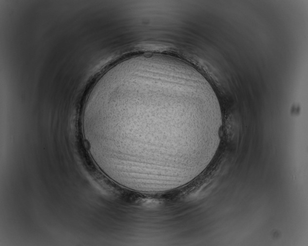 X0000101230352200807181608