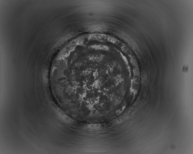 X0000101230353200807181608