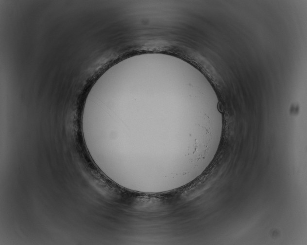 X0000101230354200807181608