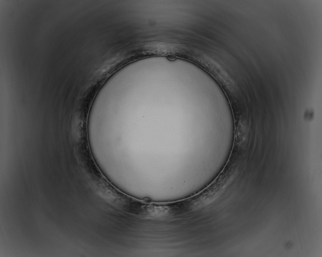 X0000101230355200807181608