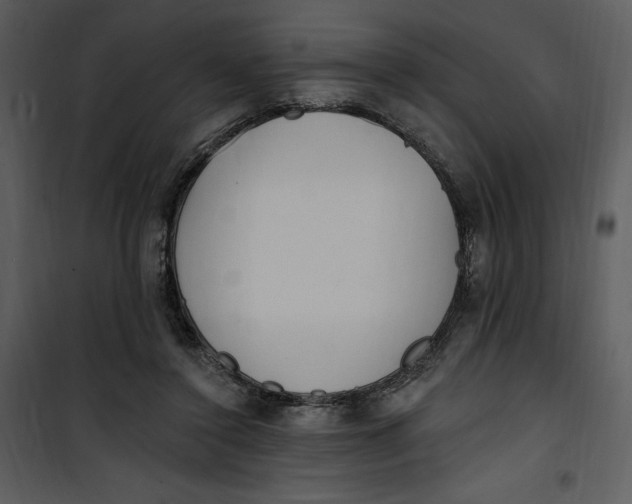 X0000101230356200807181608