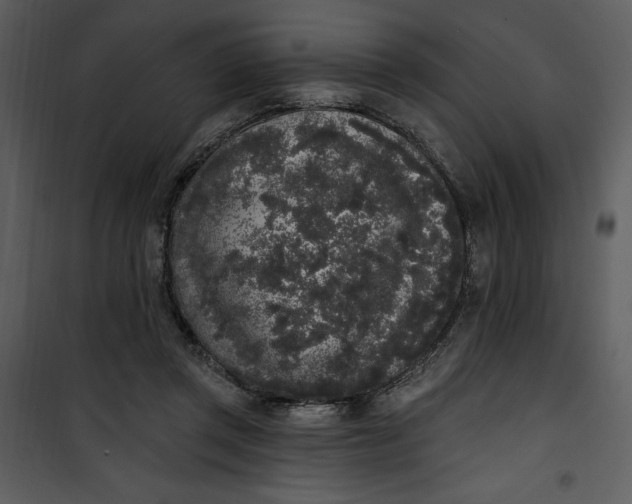 X0000101230357200807181608