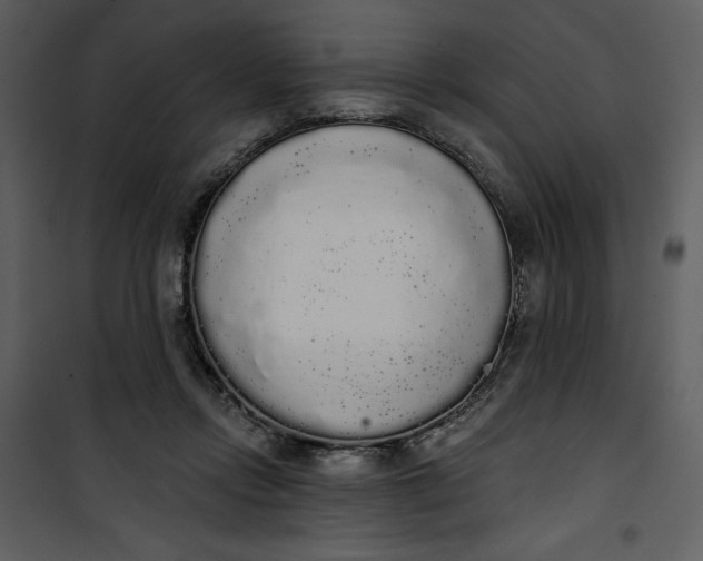 X0000101230358200807181608