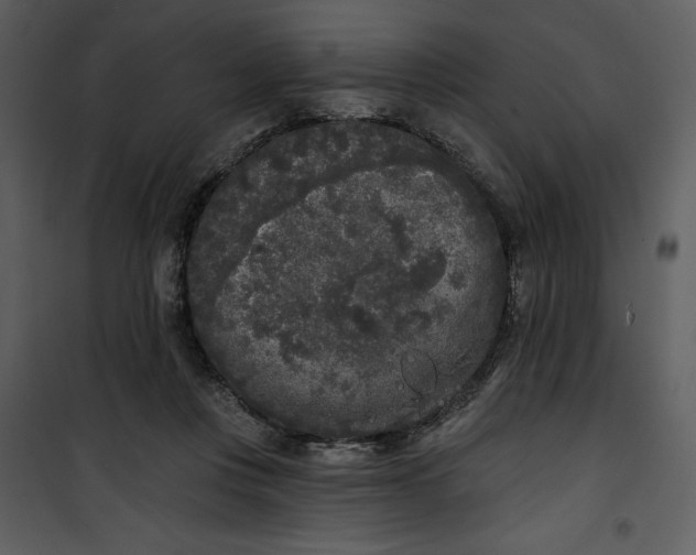 X0000101230359200807181608