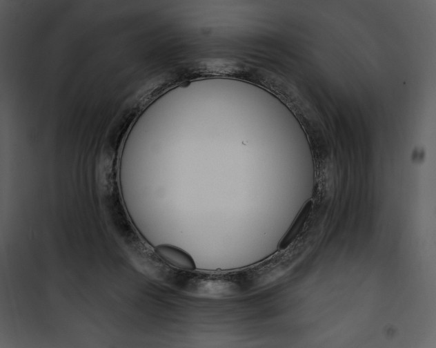 X0000101230360200807181608