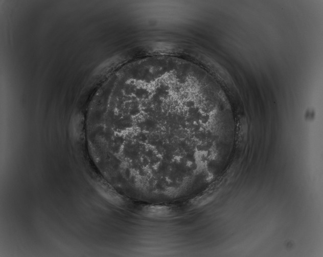 X0000101230361200807181608