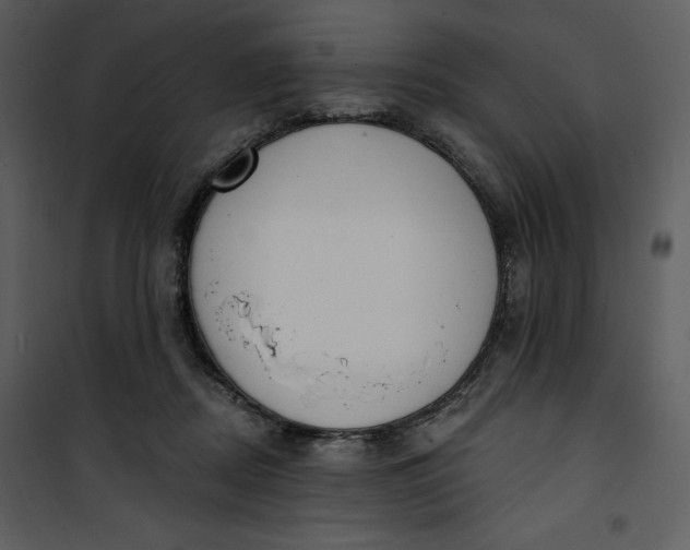 X0000101230362200807181608