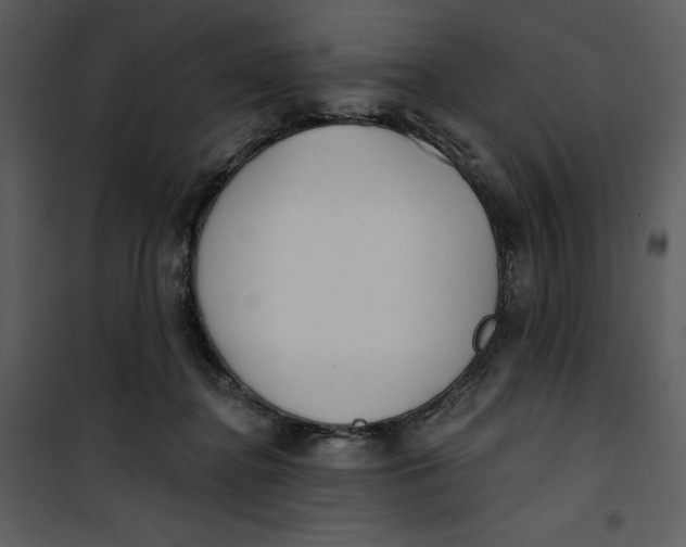 X0000101230364200807181608