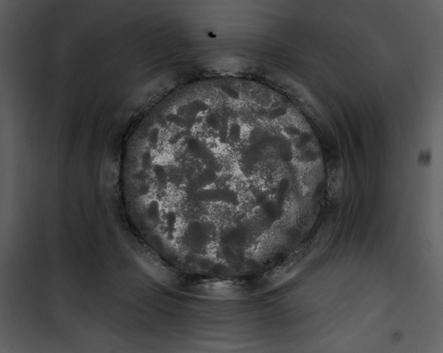 X0000101230365200807181608