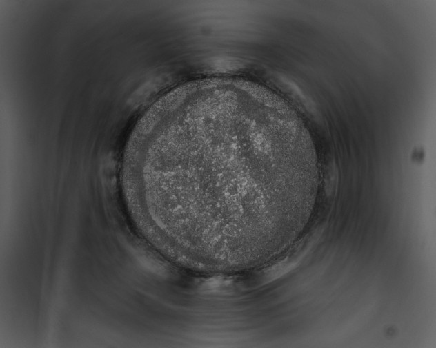 X0000101230366200807181608