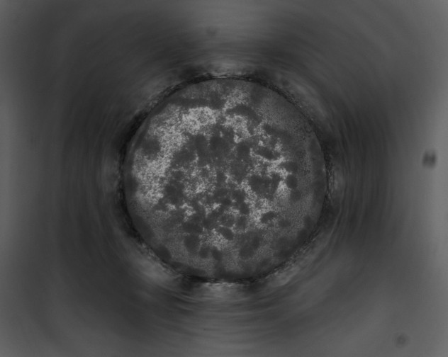 X0000101230367200807181608