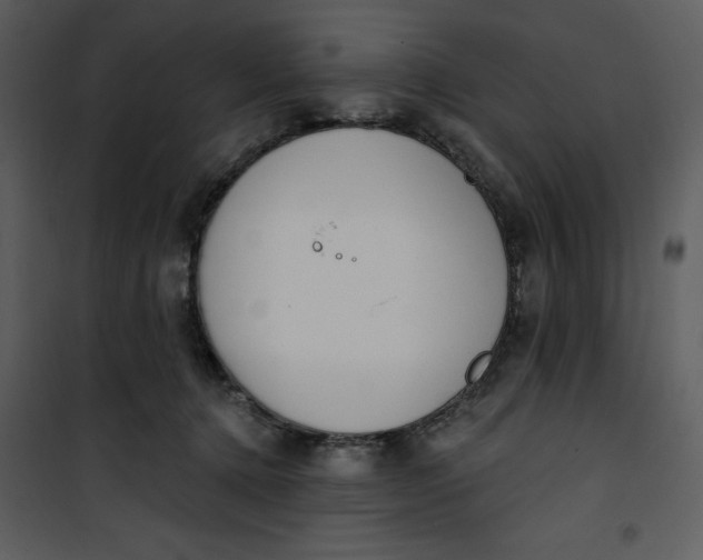 X0000101230368200807181608