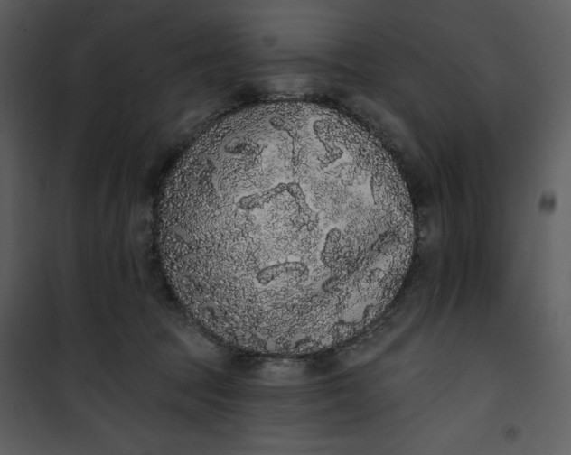 X0000101230369200807181608