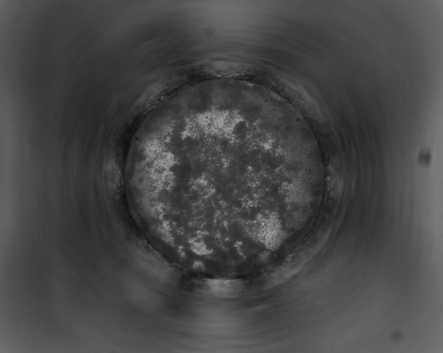 X0000101230371200807181608