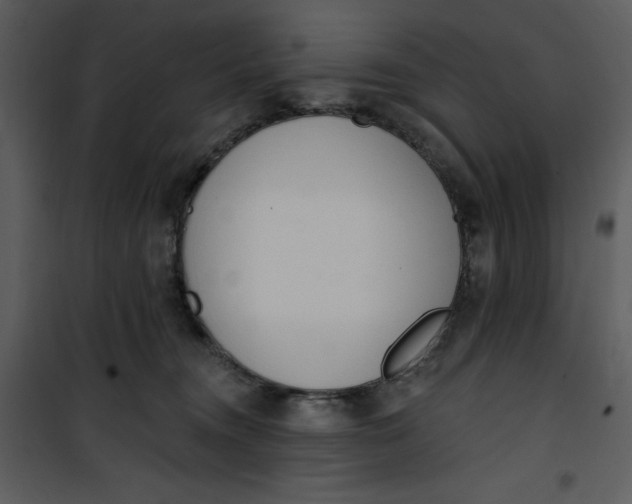 X0000101230372200807181608