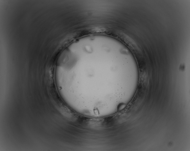 X0000101230373200807181608