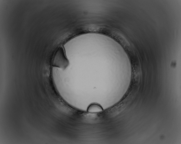 X0000101230374200807181608