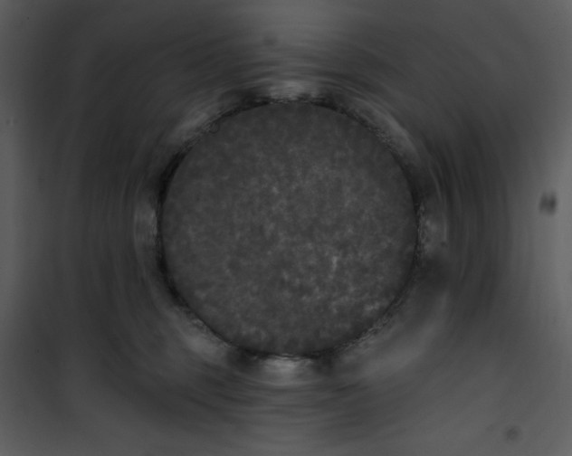 X0000101230375200807181608